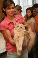 /album/a2008-08/a73-jpg/