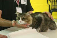 /album/a2008-08/a87-jpg/